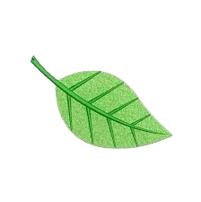 Decorative leaf